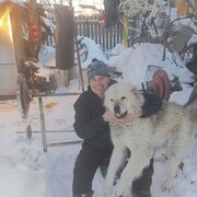 ���������� �������, ���� ������� �������, 64 ����, ������������ ��� c�������� ���������