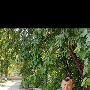 ���������� �������������, ������� ����, 62