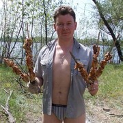  ,   , 37 ,   ,   , 