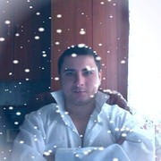  ,   Vaffanculo, 41 ,   ,   , c 
