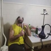 ���������� ������ ��������, ���� ������� �����, 44 ����, ������������ ��� ������, ����� � ���������, c�������� ���������