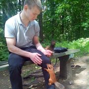 ���������� �����-���������, ���� ������� ��������, 33 ����, ������������ ��� c�������� ���������