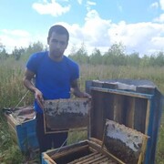 ���������� ������������, ���� ������� Mahmud, 30 ���, ������������ ��� ������, ����� � ���������, c�������� ���������, ���������