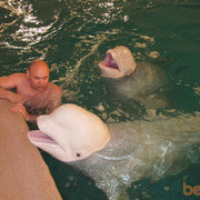 ���������� ������, ���� ������� ������, 49 ���, ������������ ��� ������, ����� � ���������, c�������� ���������