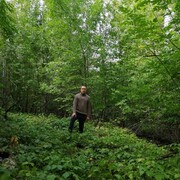 ���������� ��������, ���� ������� �������, 37 ���, ������������ ��� ������, ����� � ���������