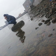 ���������� �����-���������, ���� ������� �����, 31 ���, ������������ ��� ������, ����� � ���������, c�������� ���������