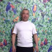  ,   , 53 ,   