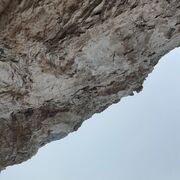 ���������� ��������, ���� ������� �����, 46 ���, ������������ ��� ������, ����� � ���������, c�������� ���������