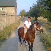  ,   Alim, 38 ,   ,   , c 