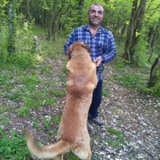  ,   , 55 ,   c 