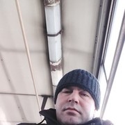  -,   , 41 ,  