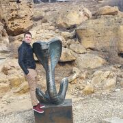 ���������� ������, ���� ������� �������, 27 ���, ������������ ��� ������, ����� � ���������, c�������� ���������