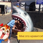 ���������� �����������, ���� ������� Nessik, 40 ���, ������������ ��� ����� � ���������, c�������� ���������