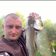  -,   , 42 ,   ,   , c 