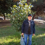  ,   , 67 ,   ,   