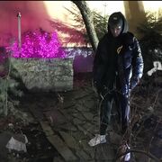 ���������� ������, ���� ������� �����, 31 ���, ������������ ��� ������, ����� � ���������, c�������� ���������