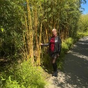 ���������� ���������, ���� ������� �����, 53 ����, ������������ ��� ������, ����� � ���������, ���������