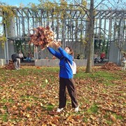 ���������� ���������, ���� ������� �����, 44 ����, ������������ ��� ���������