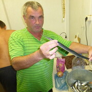 ���������� ����, ���� ������� �������, 60 ���, ������������ ��� ������, ����� � ���������