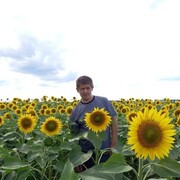 ���������� �������, ���� ������� ������, 33 ����, ������������ ��� ������, ����� � ���������, c�������� ���������, ���������