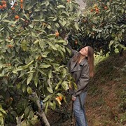 ���������� ������, ���� ������� ����, 28 ���, ������������ ��� ������, ����� � ���������, c�������� ���������