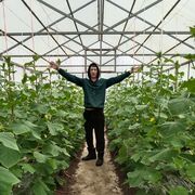 ���������� �����, ���� ������� �����, 37 ���, ������������ ��� c�������� ���������, ���������