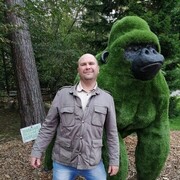 ���������� ����, ���� ������� ���������, 45 ���, ������������ ��� ������, ����� � ���������