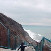 ���������� ������������, ���� ������� �������, 43 ����, ������������ 