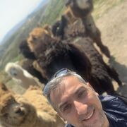 ���������� ����, ���� ������� Nicat, 38 ���, ������������ ��� ������, ����� � ���������