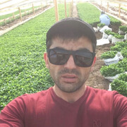 ���������� ������-��-����, ���� ������� �����, 35 ���, ������������ ��� ������, ����� � ���������