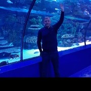 ���������� ������, ���� ������� �����, 41 ���, ������������ ��� ������, ����� � ���������