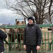 ���������� ������-��-����, ���� ������� ������, 32 ����, ������������ ��� ������, ����� � ���������, c�������� ���������