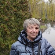  Jelcz,  , 60