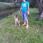  ,   , 41 ,   ,   , c 