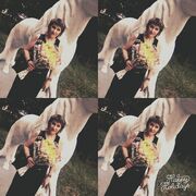 ���������� �����������, ���� ������� �����, 51 ���, ������������ ��� c�������� ���������