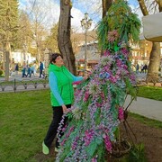 ���������� ������� ������, ���� ������� �����, 72 ����, ������������ ��� ����� � ���������, c�������� ���������