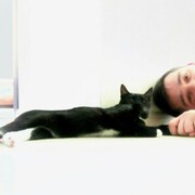 ���������� ������, ���� ������� �����, 38 ���, ������������ ��� ������, ����� � ���������, c�������� ���������, ���������