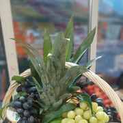 ���������� ���, ���� ������� Umed, 38 ���, ������������ 