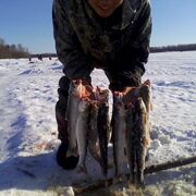 ���������� ����������, ���� ������� ����, 34 ����, ������������ ��� ������, ����� � ���������, c�������� ���������, ���������