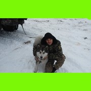 ���������� ���������, ���� ������� ���������, 39 ���, ������������ ��� ������, ����� � ���������, c�������� ���������