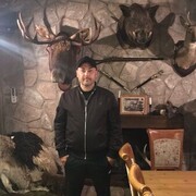 ���������� ������������, ���� ������� ������, 43 ����, ������������ ��� ������, ����� � ���������, c�������� ���������, ���������