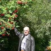 ���������� ����������, ���� ������� �������, 81 ���, ������������ 