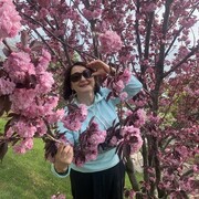 ���������� ������-��-����, ���� ������� ����, 53 ����, ������������ ��� ����� � ���������, c�������� ���������