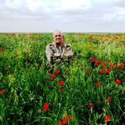 ���������� �������, ���� ������� �������, 62 ����, ������������ ��� ����� � ���������, c�������� ���������