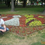  ,   , 40 ,  