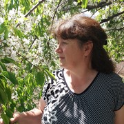  ,   , 62 ,   ,   , c 