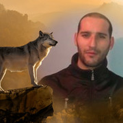 ���������� ����, ���� ������� ������, 40 ���, ������������ ��� ����� � ���������, c�������� ���������