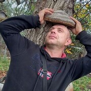  ,   , 38 ,   c 