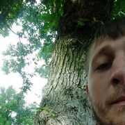  ,   , 38 ,     , c , 
