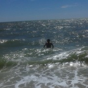 ���������� ��������������, ���� ������� ����, 48 ���, ������������ ��� ������, ����� � ���������, c�������� ���������